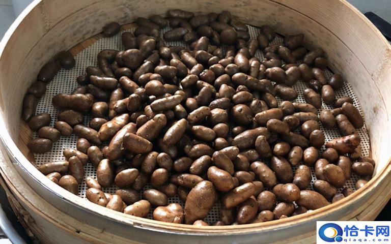 什么是山药果(山药果的最新吃法)