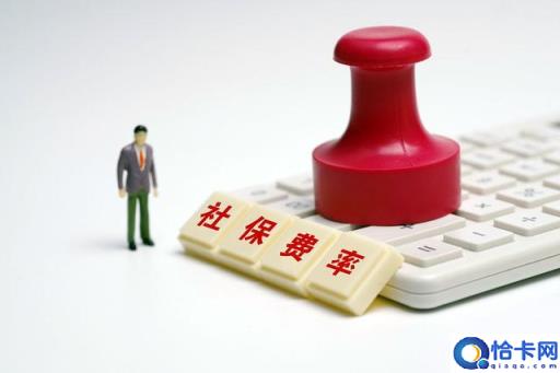 社会保险的缴费年度指的是什么?与社会保险的缴费基数有何区别?