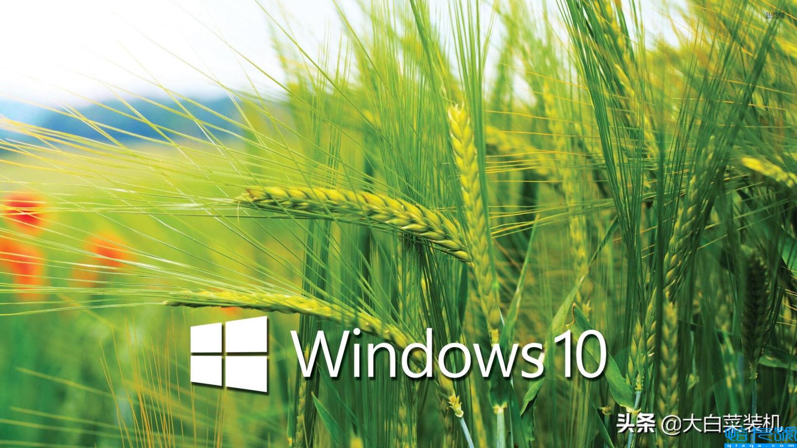 win10电脑性能怎么调到最佳模式(教你低配电脑怎么提高性能)