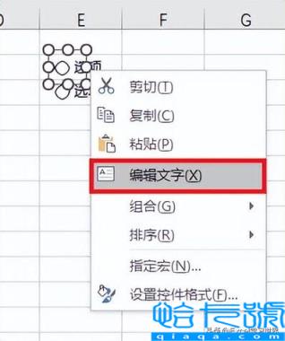 升序和降序怎么操作excel(选项按钮动态控制数据表的升降序排列)