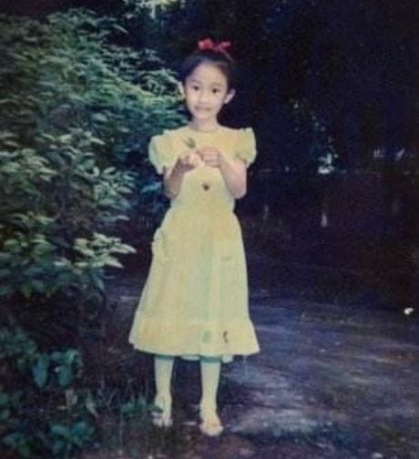 张俪个人简历图片(36岁仍未婚成名路上有眼泪)