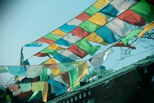 佳能1300d怎么样(佳能eos1300d值不值得买)