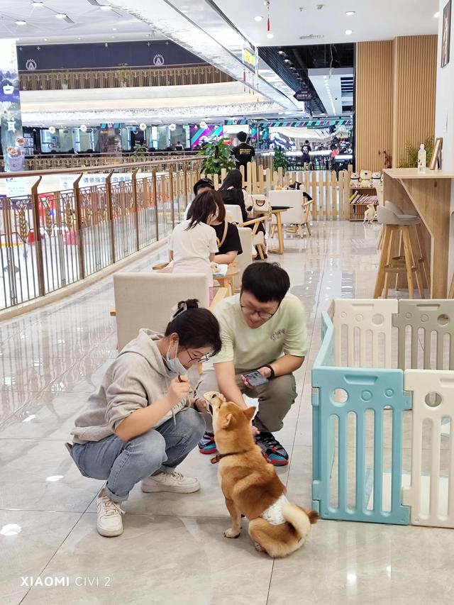 小米civi2怎么样(小米civi2值得入手吗)