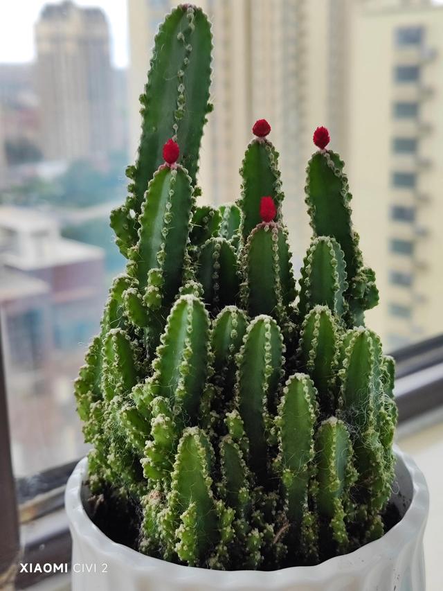 小米civi2怎么样(小米civi2值得入手吗)